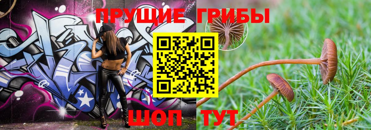 Галлюциногенные грибы мицелий  Псилоцибиновые грибы Cubensis  Вход с VPN  Георгиевск 