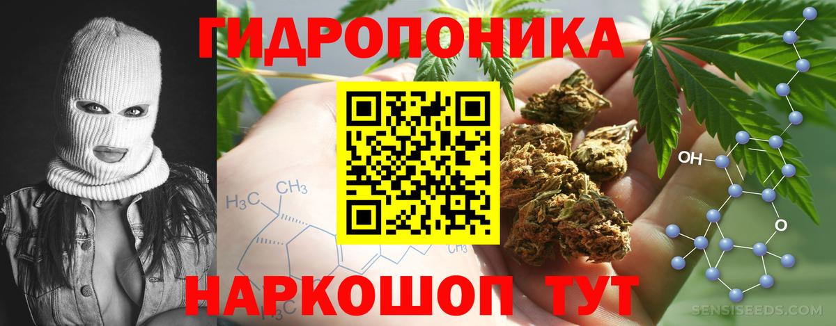 Шишки марихуана сатива Георгиевск